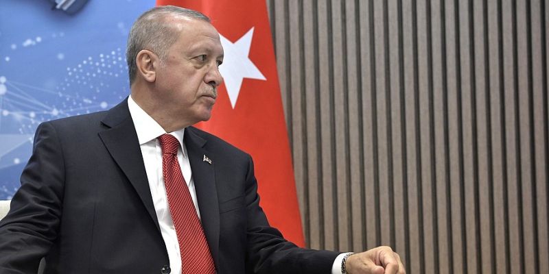 Erdogan Nurcan Baysal