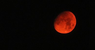 luna rossa palermo incendio altofonte